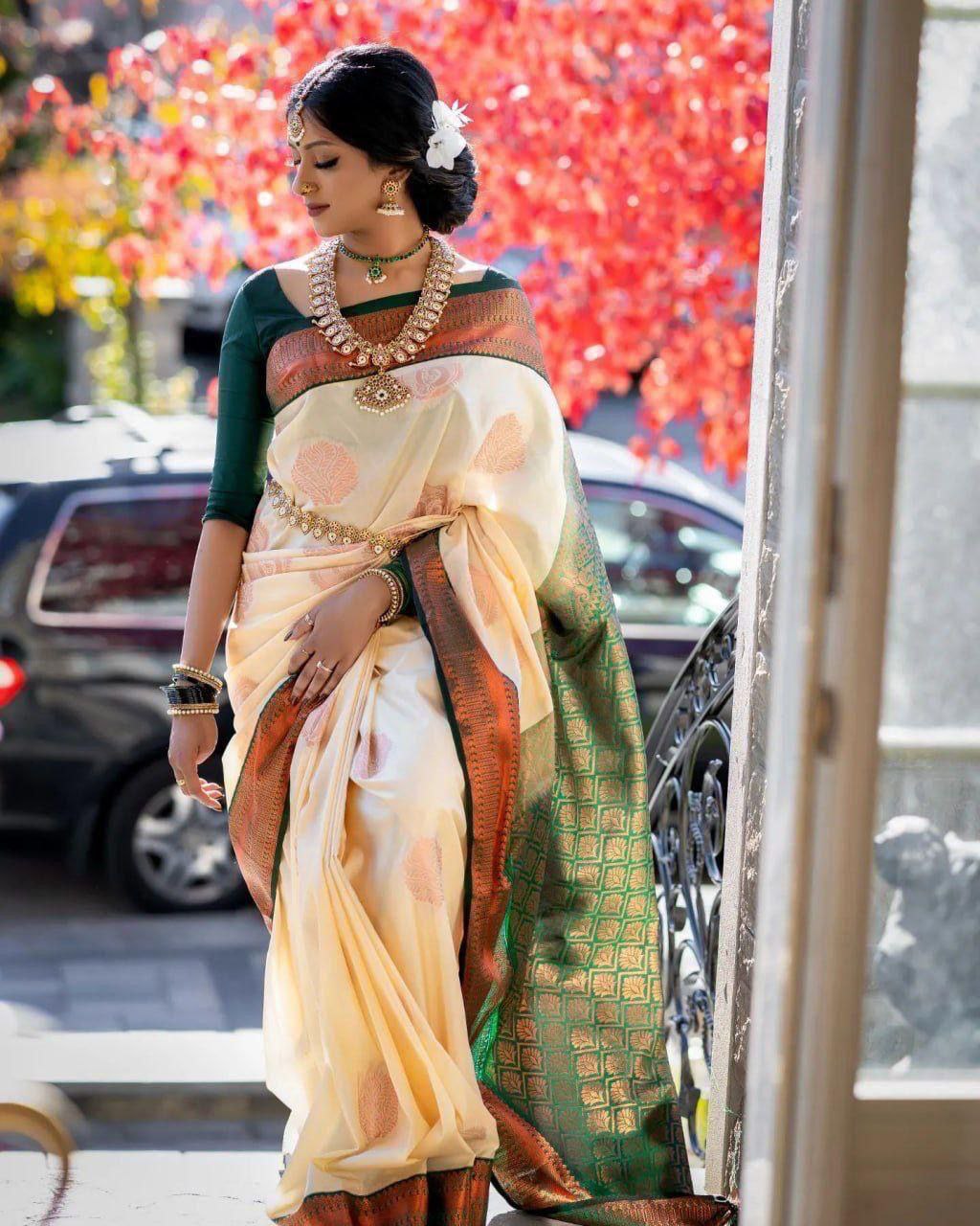 Banarasi Soft Silk Saree