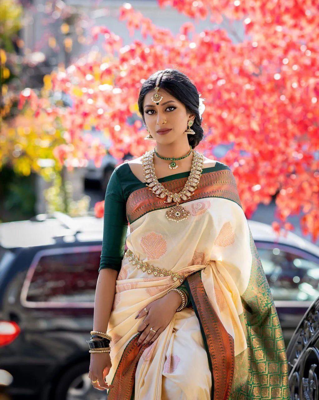 Banarasi Soft Silk Saree