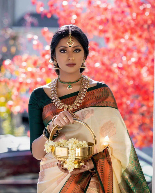 Banarasi Soft Silk Saree